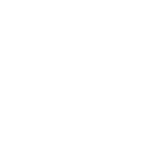 arma-de-fogo ICONE